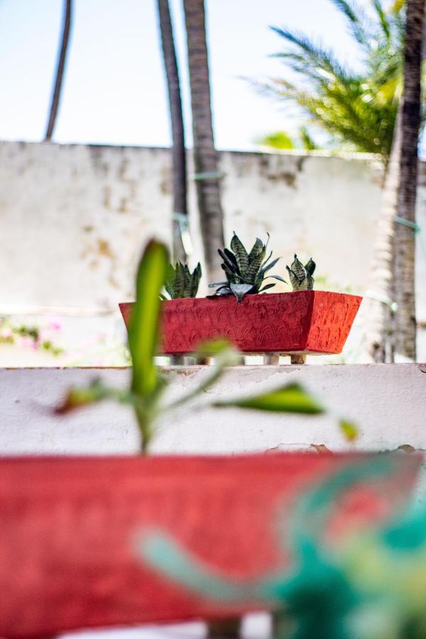 Gato Do Mato Hostel Cumbuco Ngoại thất bức ảnh