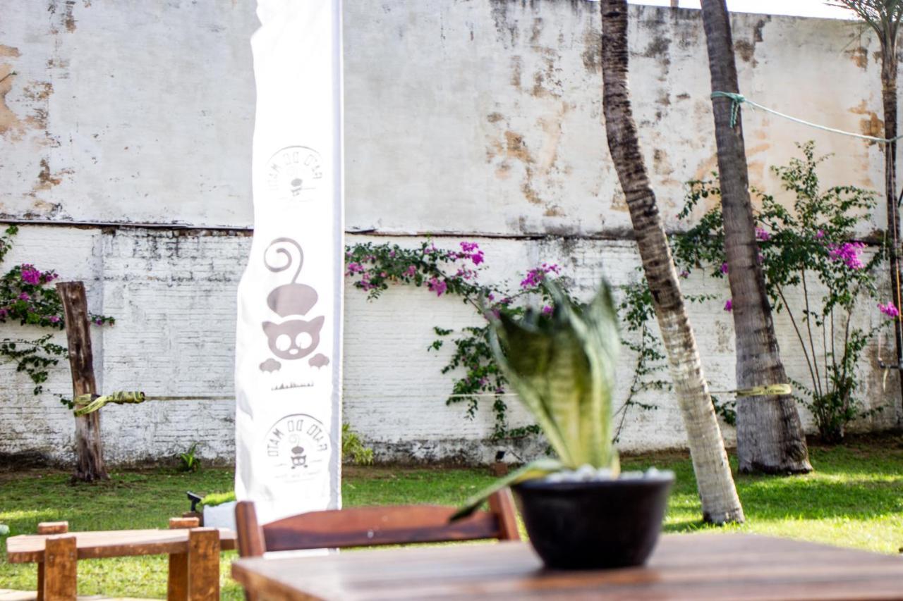 Gato Do Mato Hostel Cumbuco Ngoại thất bức ảnh